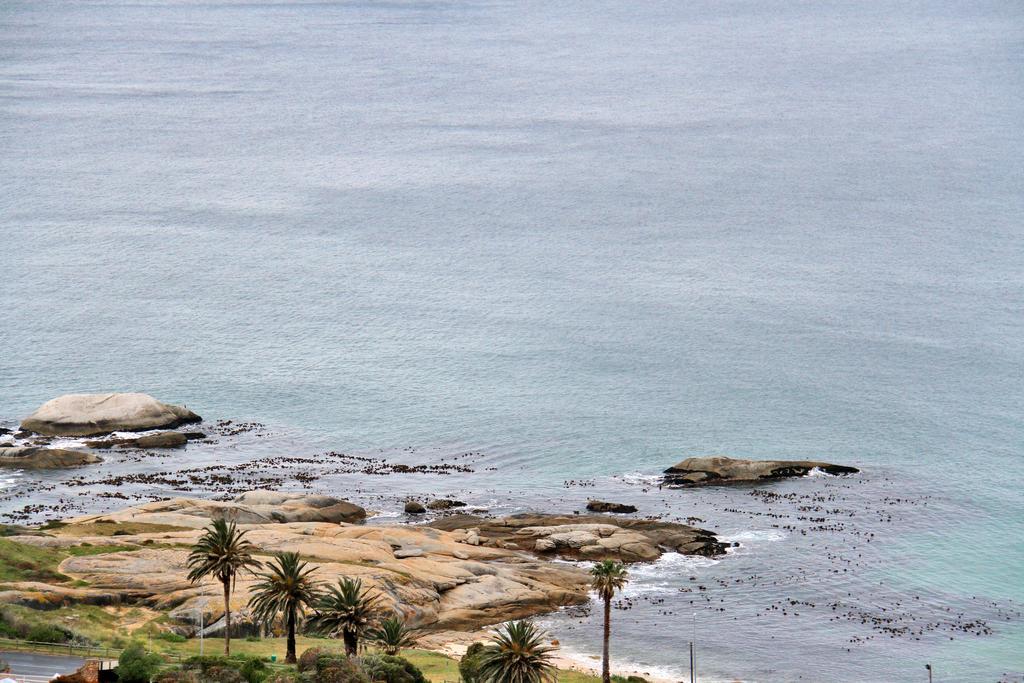 Avian Leisure Daire Simonʼs Town Dış mekan fotoğraf